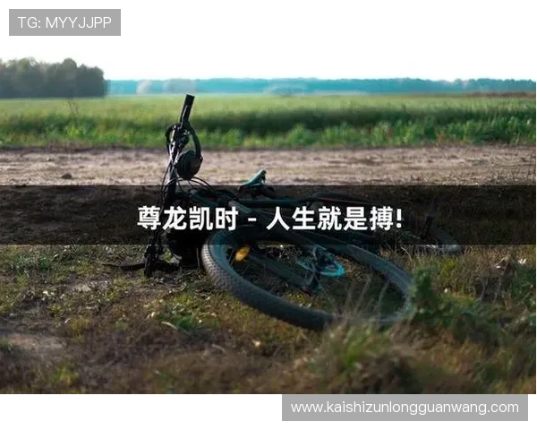 尊龙凯时国际入口提供安全稳定的游戏体验，助你轻松畅玩每一场精彩赛事